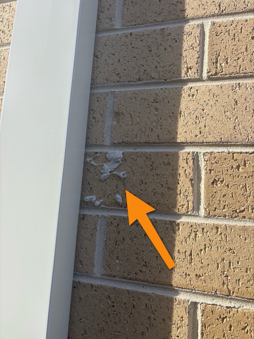 Dilapidation Reports in Point Cook