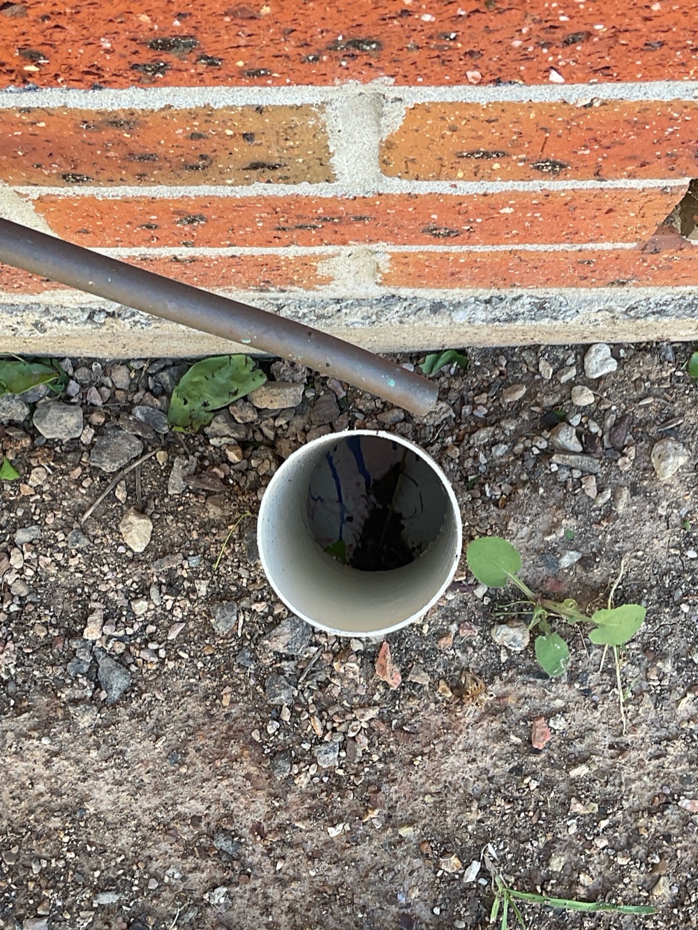 Termite and pest risk, Point Cook