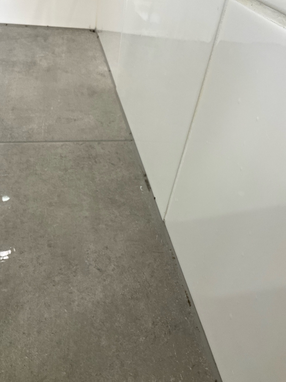 Mould growth found in one or more areas, recorded during a pre-purchase inspection in Point Cook